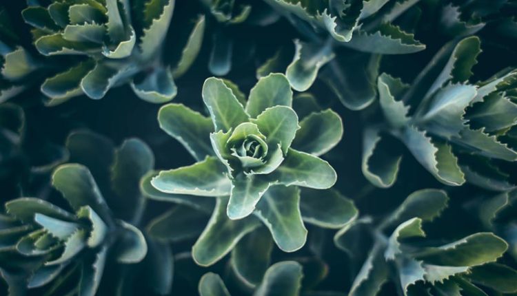 fribourg blog thumb 5